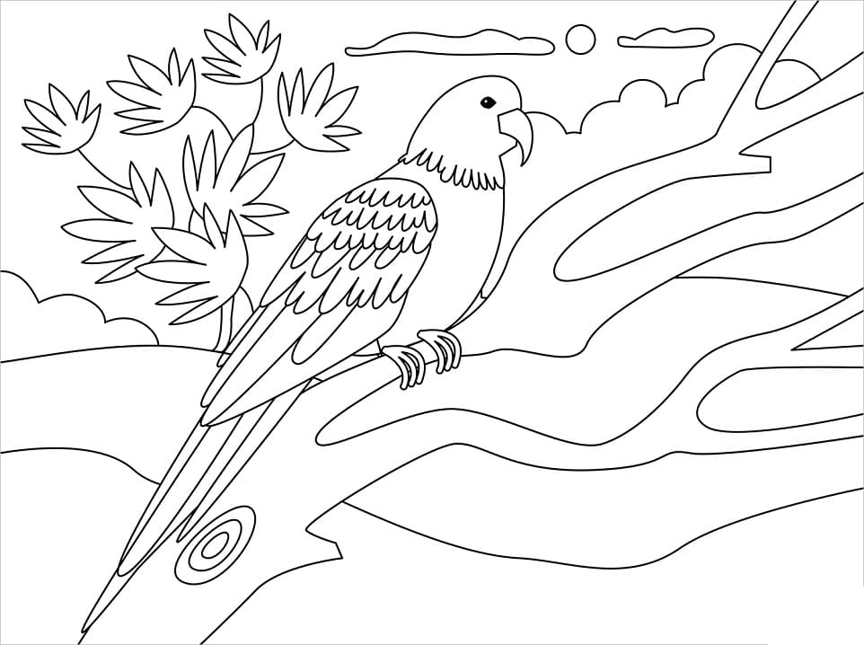 Coloriage perroquet simple