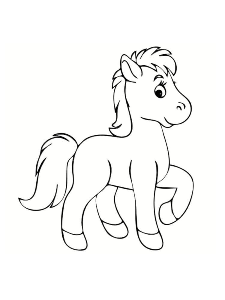 Coloriage petit poney cheval de petite taille à imprimer