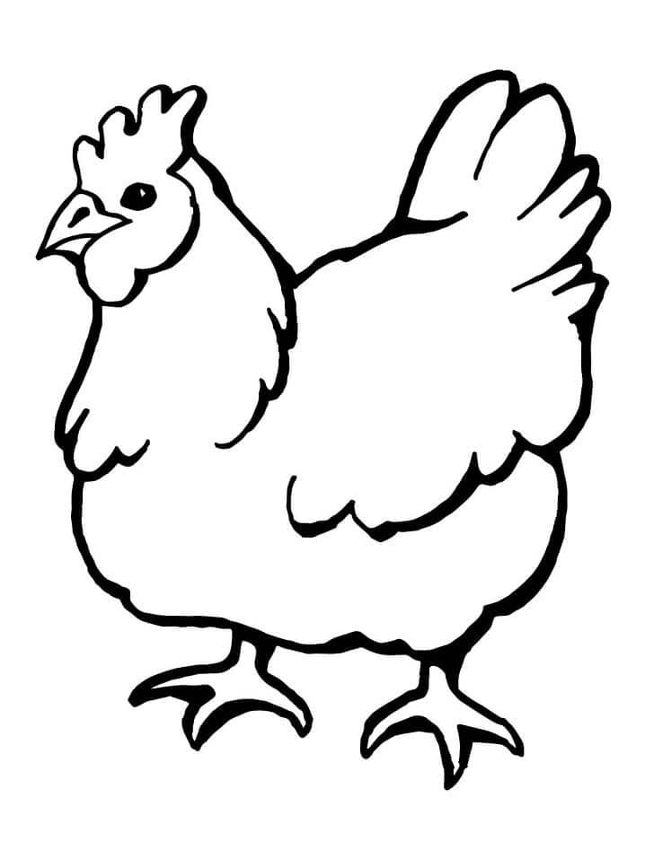 Coloriage poule 2