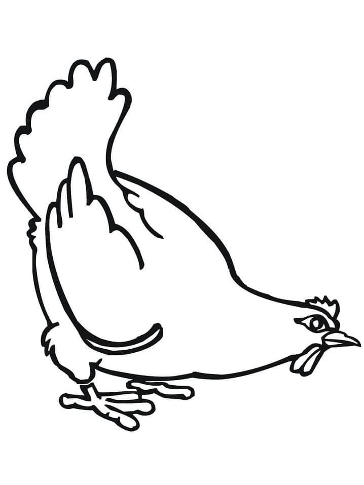 Coloriage poule 3