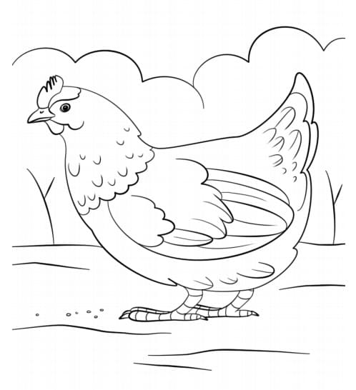 Coloriage poule au sol à imprimer