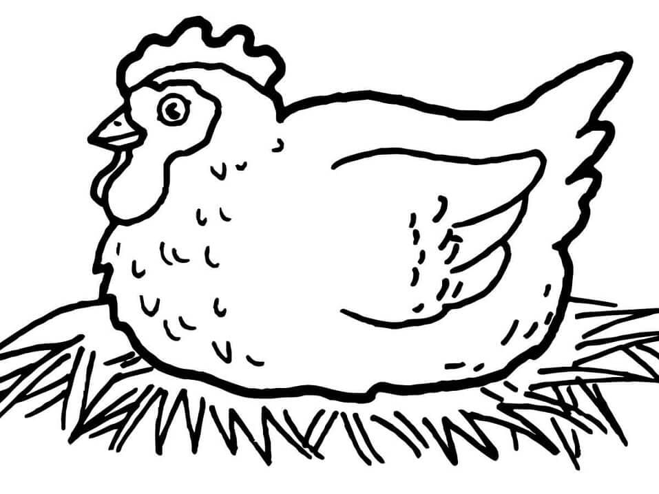 Coloriage poule en filet