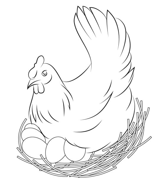 Coloriage poule et oeufs