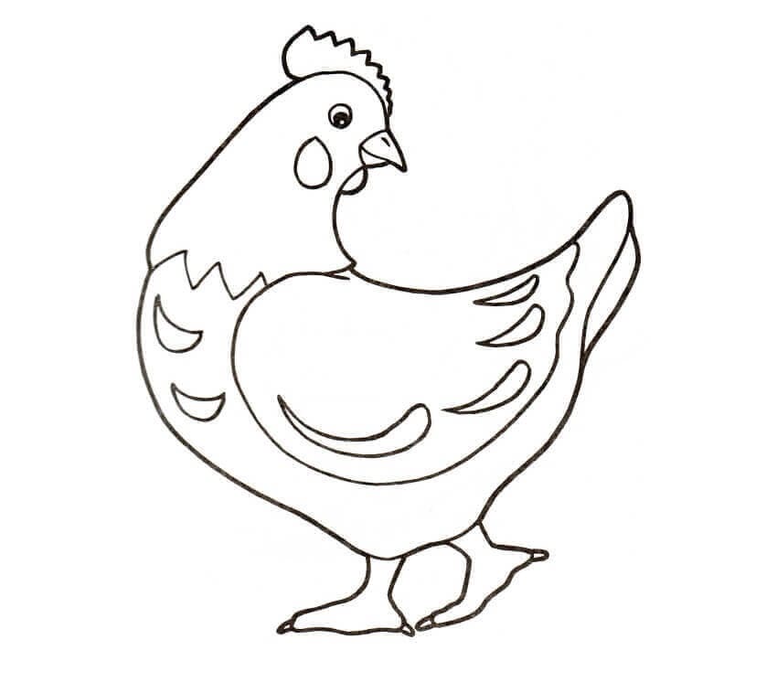 Coloriage poule simple