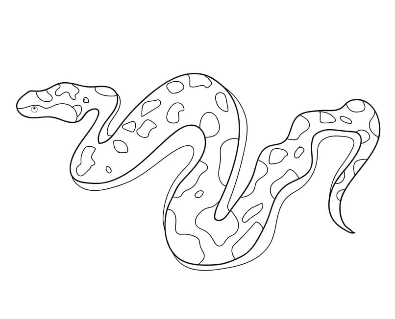 Coloriage serpent 1