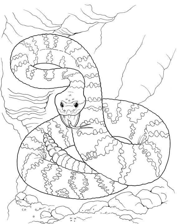 Coloriage serpent à sonnette dangereux à imprimer