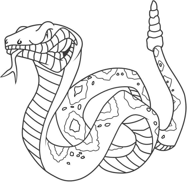 Coloriage serpent à sonnette en colère à imprimer