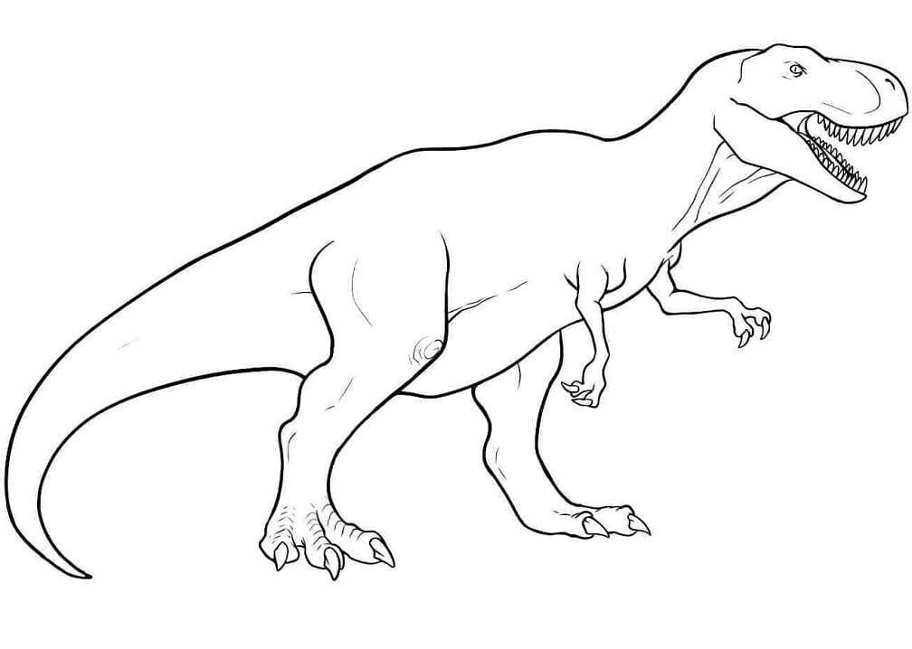 Coloriage t rex 6