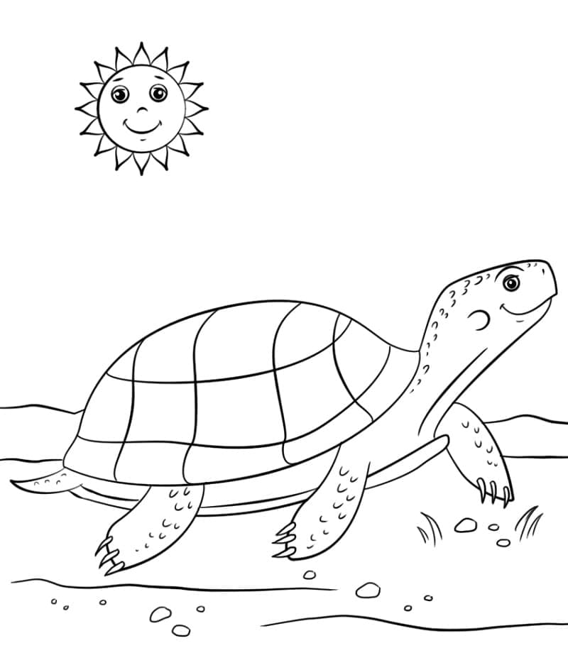 Coloriage tortue de dessin animé à imprimer