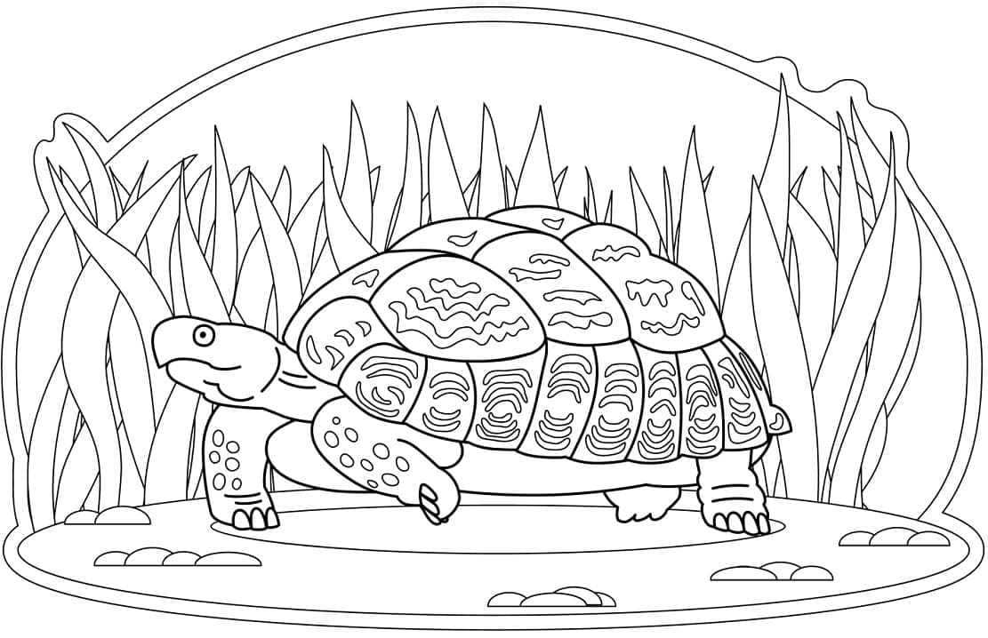 Coloriage tortue marchant à imprimer