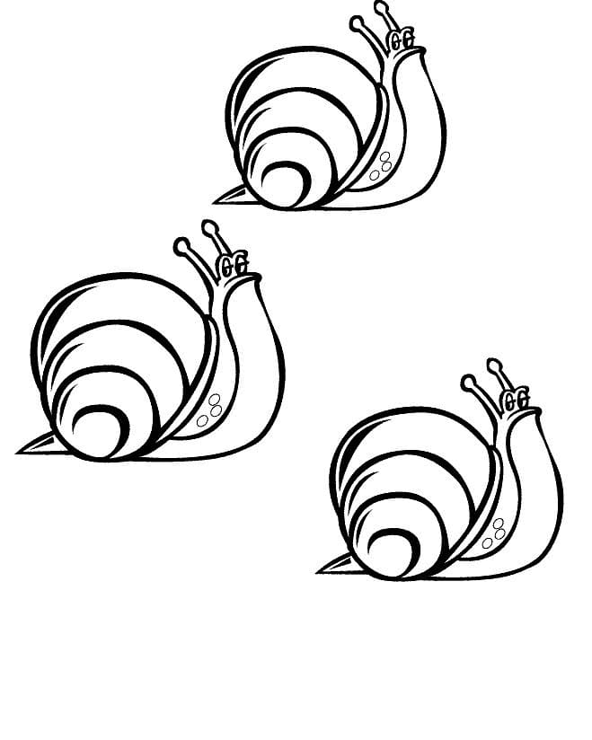 Coloriage trois escargots à imprimer