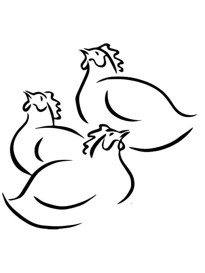 Coloriage trois poule