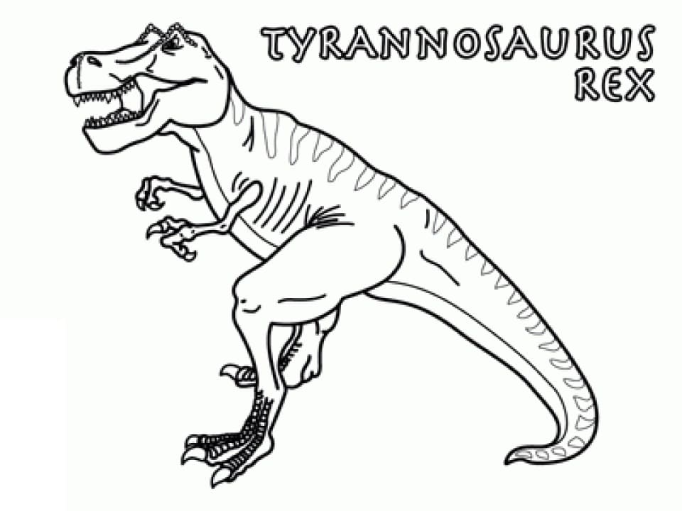 Coloriage tyrannosaure 1