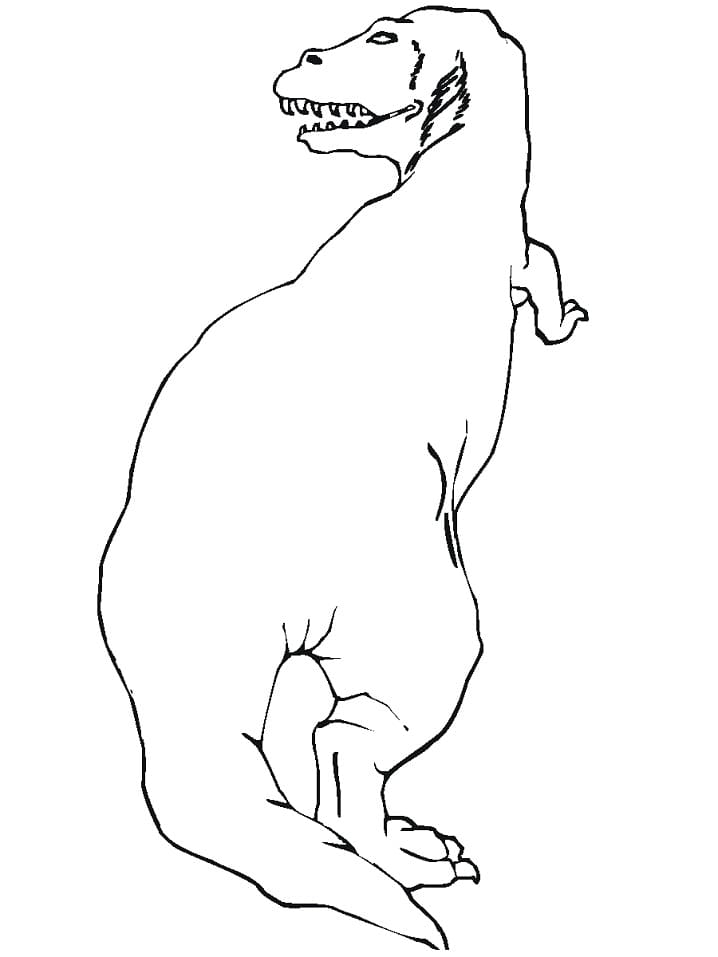 Coloriage tyrannosaure rex 3