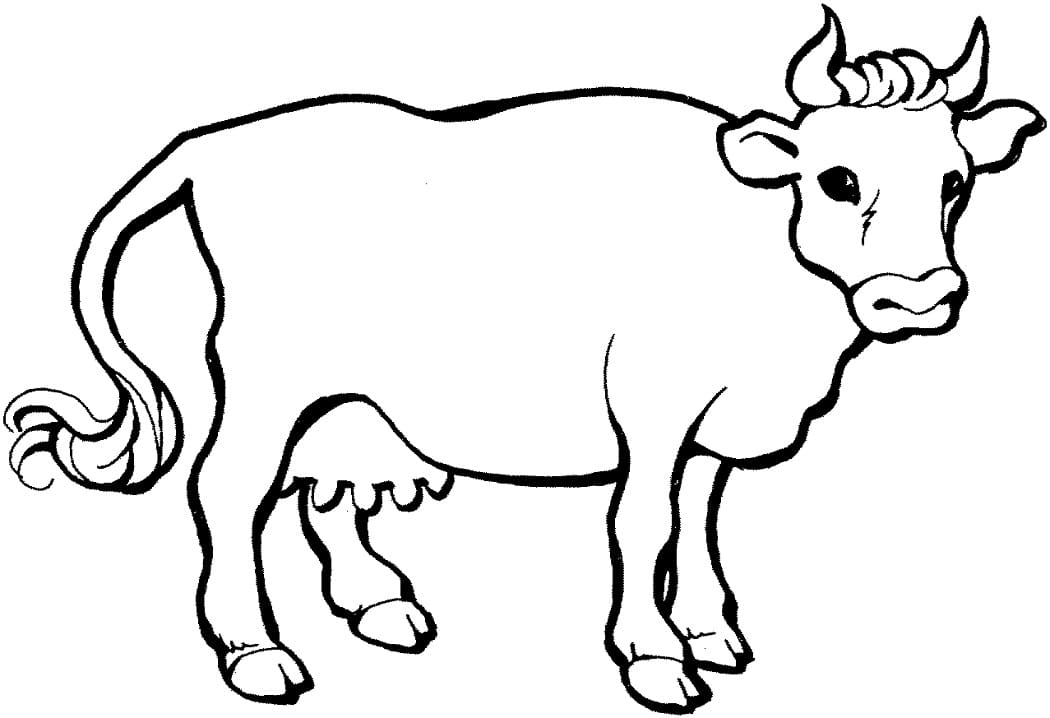 Coloriage une vache 2