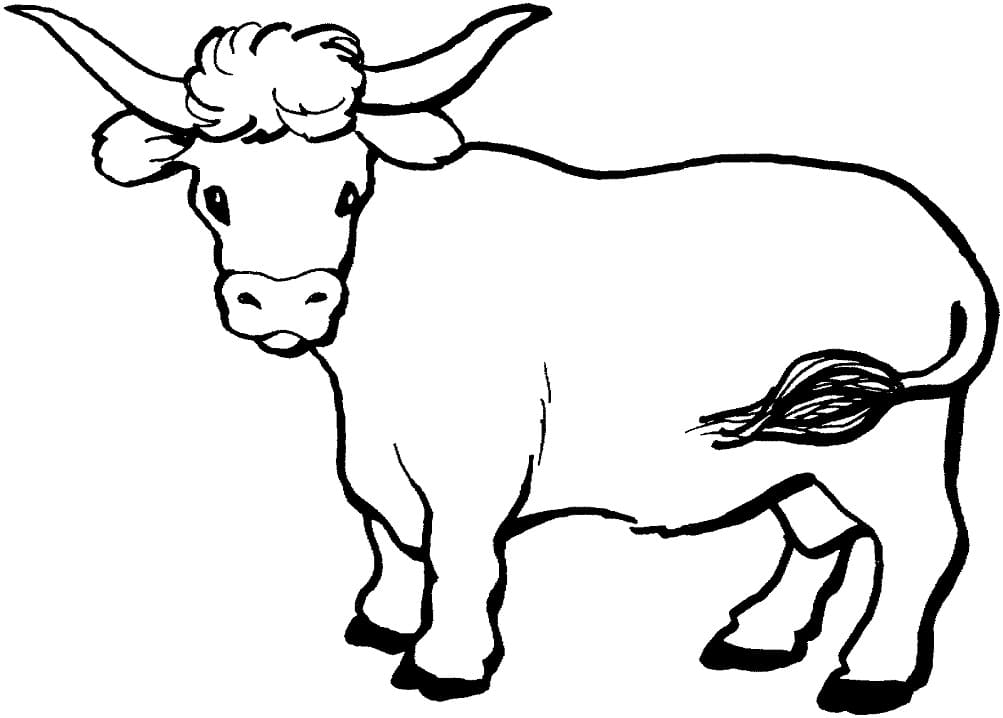 Coloriage vache normale 2