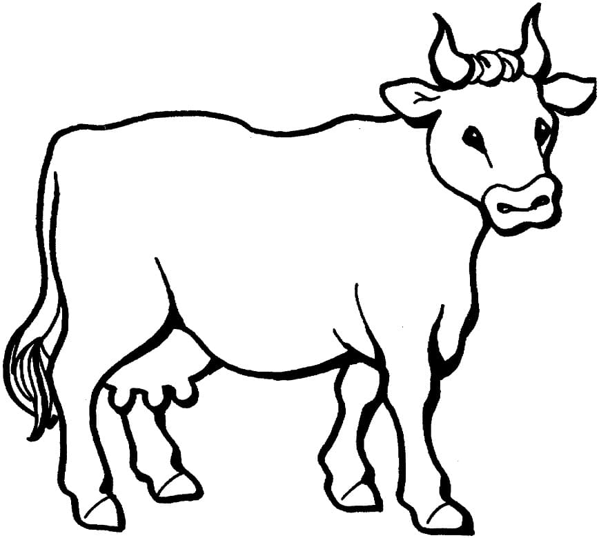 Coloriage vache normale 4