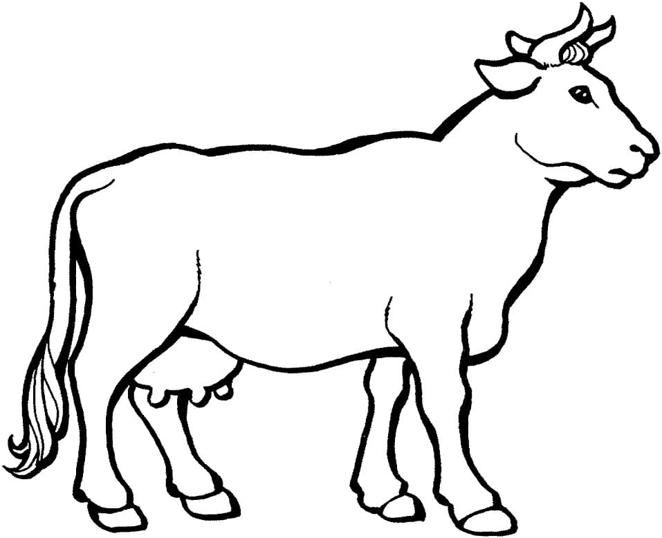 Coloriage vache normale 5