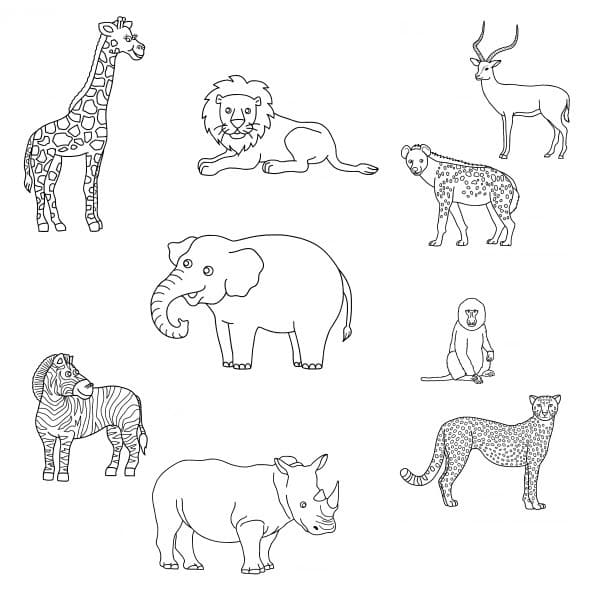 Coloriage animaux sauvages 11