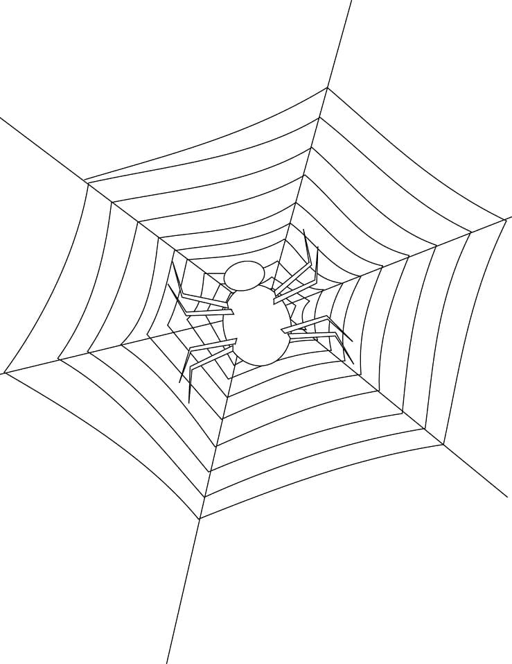Coloriage araignée sur toile d'araignée 1
