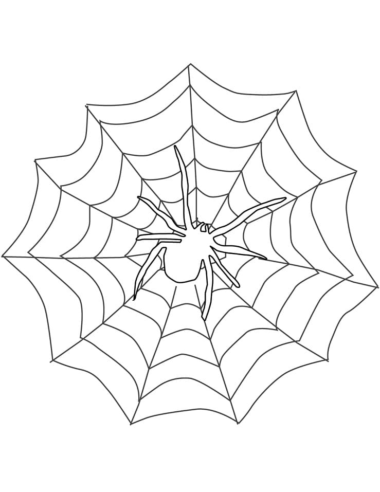 Coloriage araignée sur toile d'araignée 2