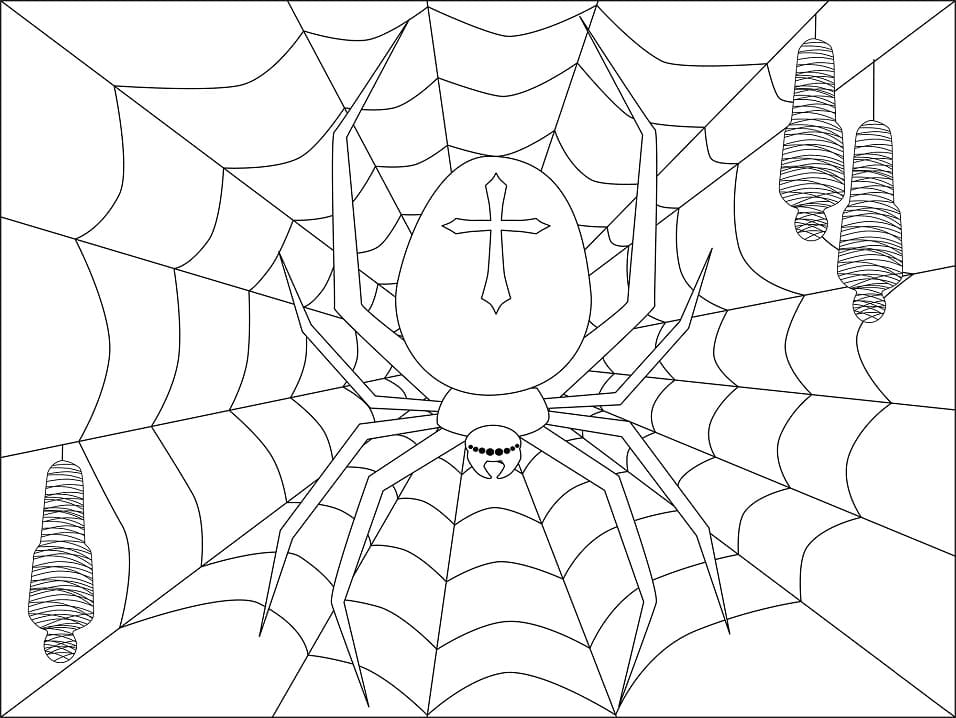 Coloriage araignée sur toile d'araignée 5