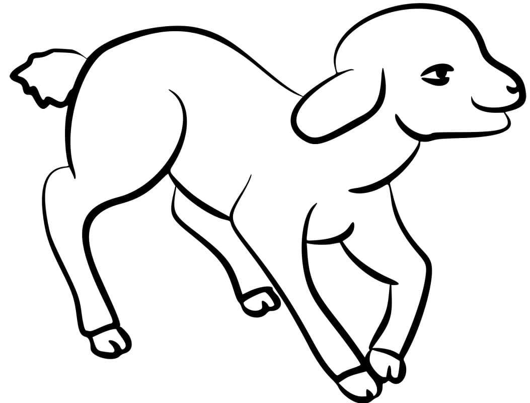 Coloriage bébé mouton 1