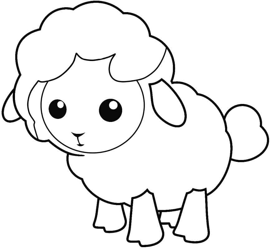 Coloriage bébé mouton 4