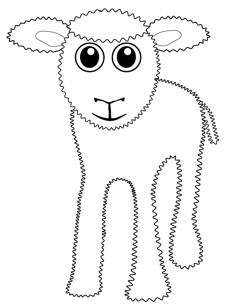 Coloriage bébé mouton 5