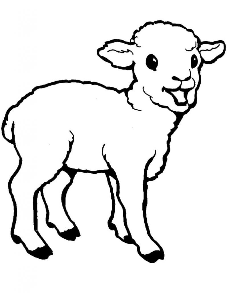 Coloriage bébé mouton à imprimer