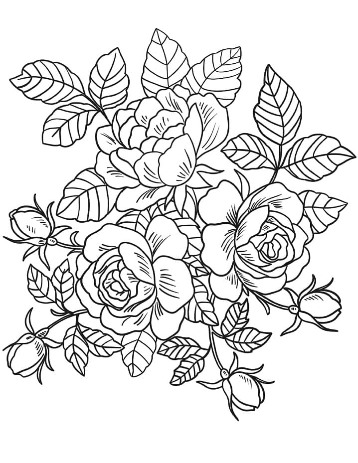 Coloriage bouquet de roses 1 à imprimer