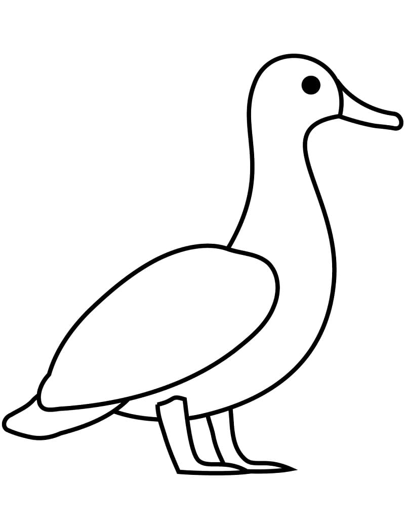 Coloriage canard simple à imprimer