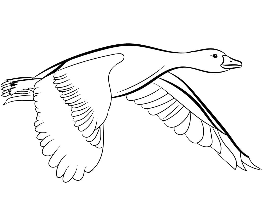 Coloriage canard volant 1