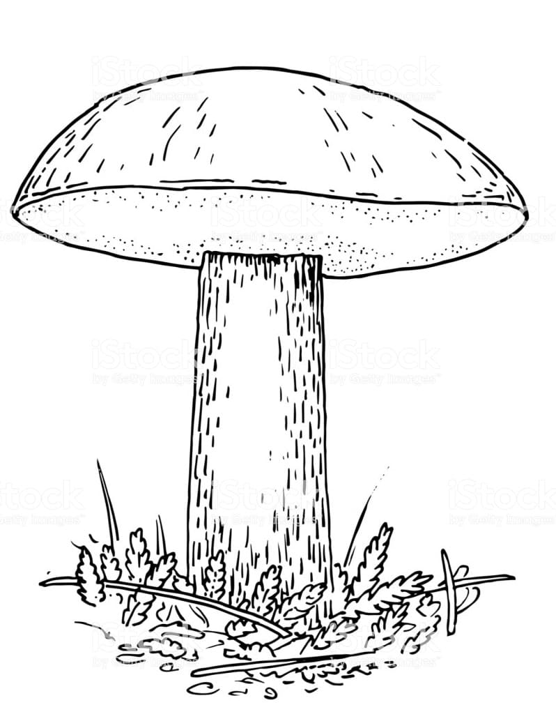 Coloriage champignon 11 à imprimer
