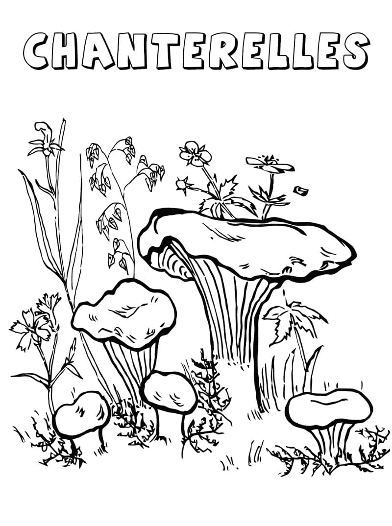 Coloriage champignon 13 à imprimer