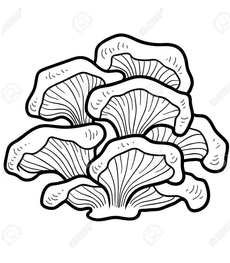 Coloriage champignon 15 à imprimer