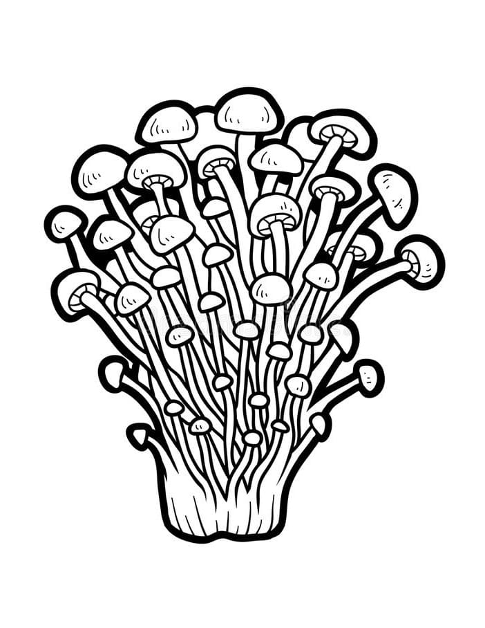 Coloriage champignon 17