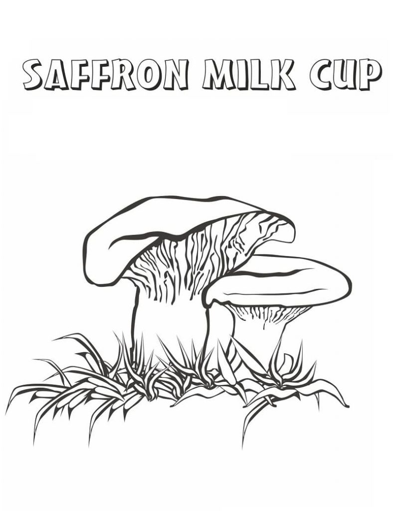 Coloriage champignon 20 à imprimer