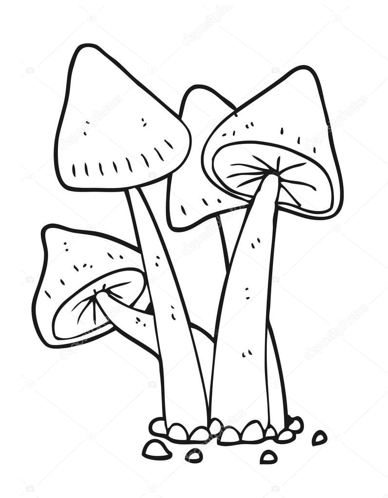 Coloriage champignon 6