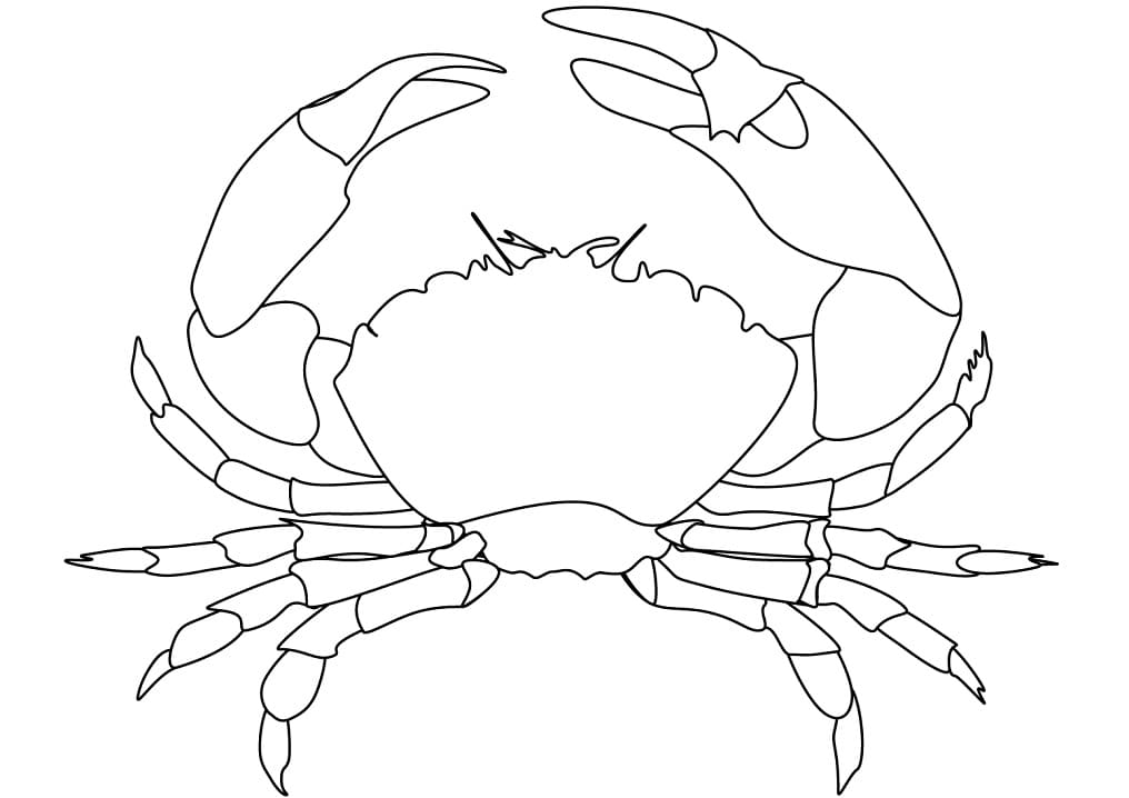 Coloriage crabe 1 à imprimer
