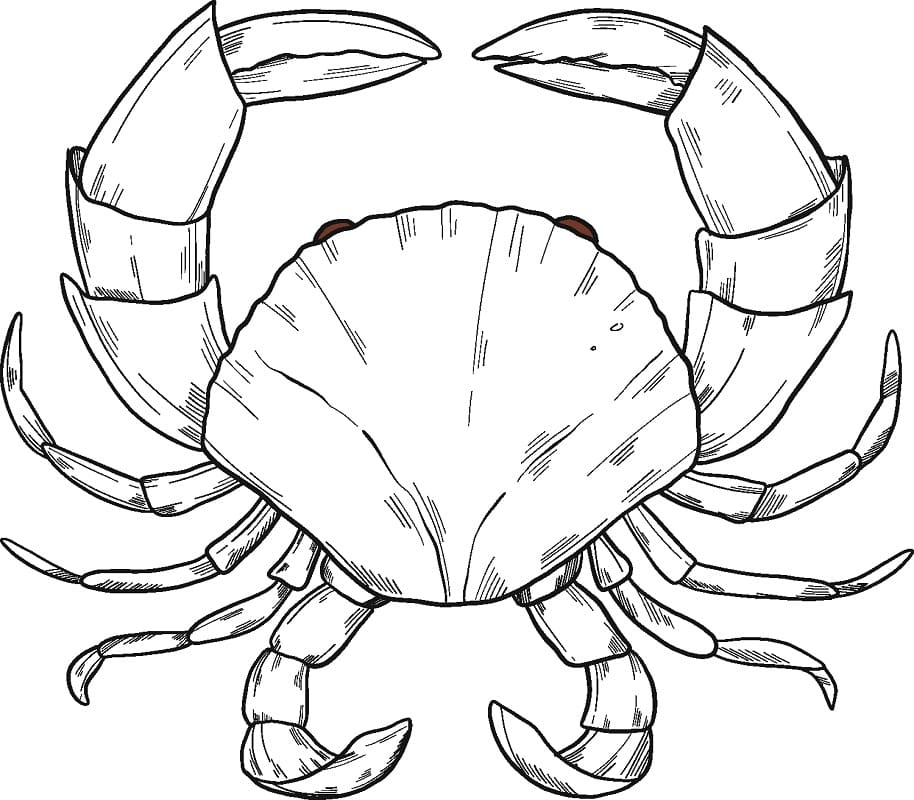 Coloriage crabe 6 à imprimer