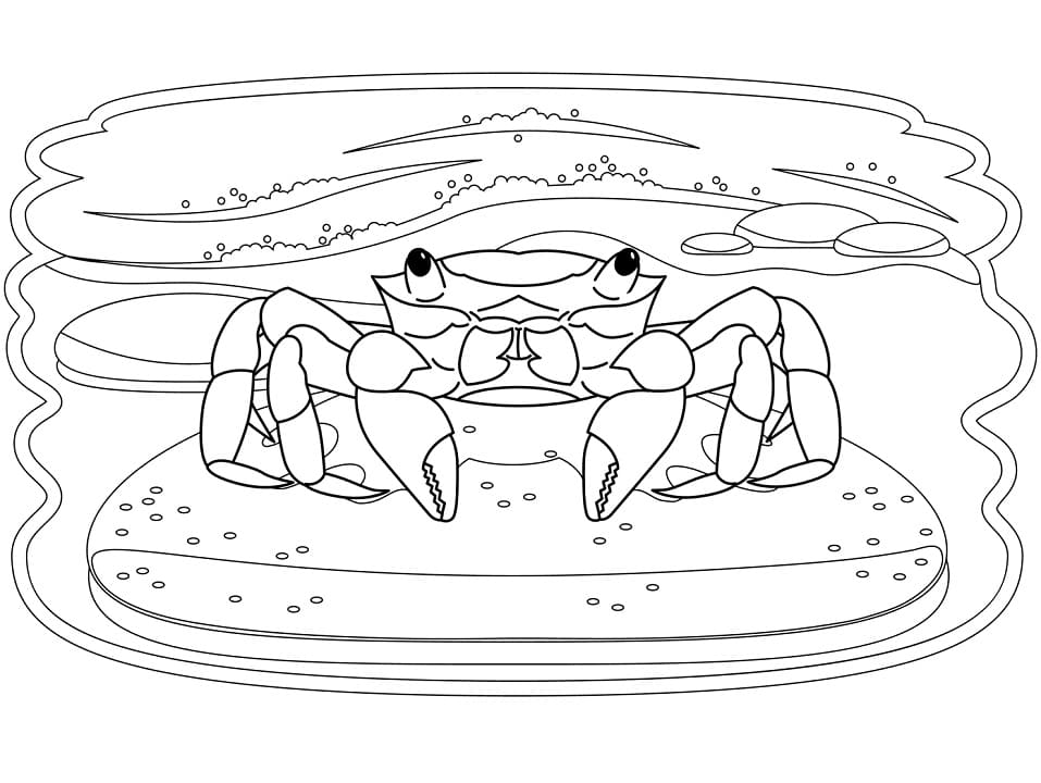 Coloriage crabe 7 à imprimer