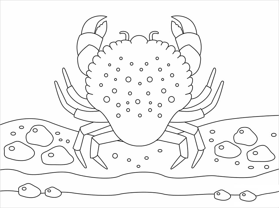 Coloriage crabe 8 à imprimer