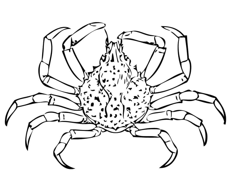 Coloriage crabe-araignée à imprimer