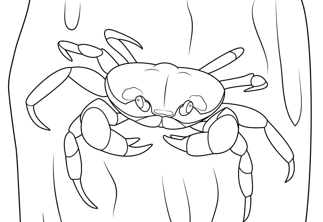 Coloriage crabe halloween à imprimer