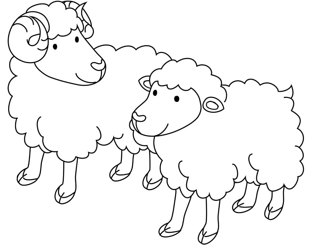 Coloriage deux moutons