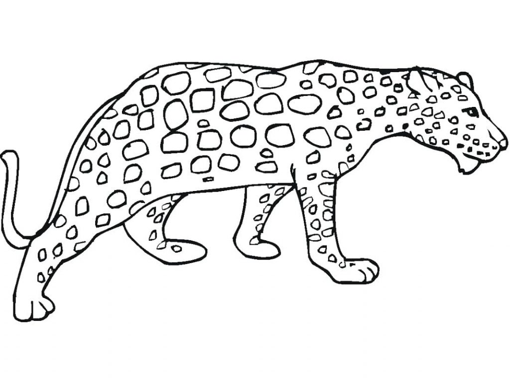 Coloriage guépard 4 à imprimer