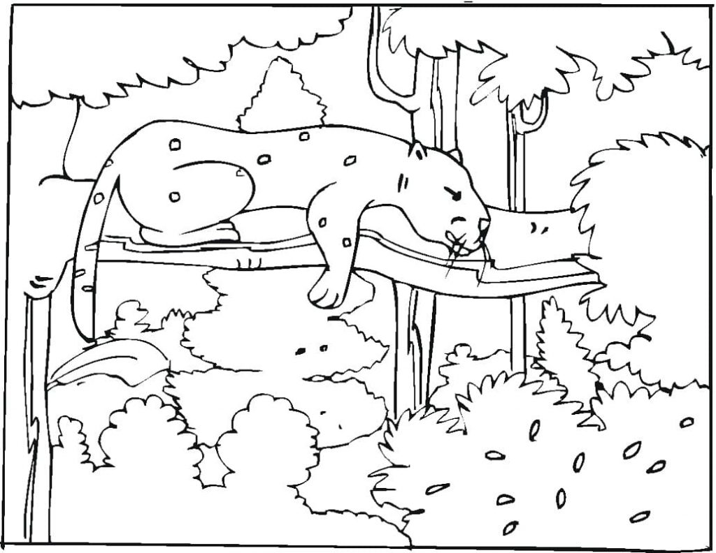 Coloriage guépard qui dort dans un arbre à imprimer