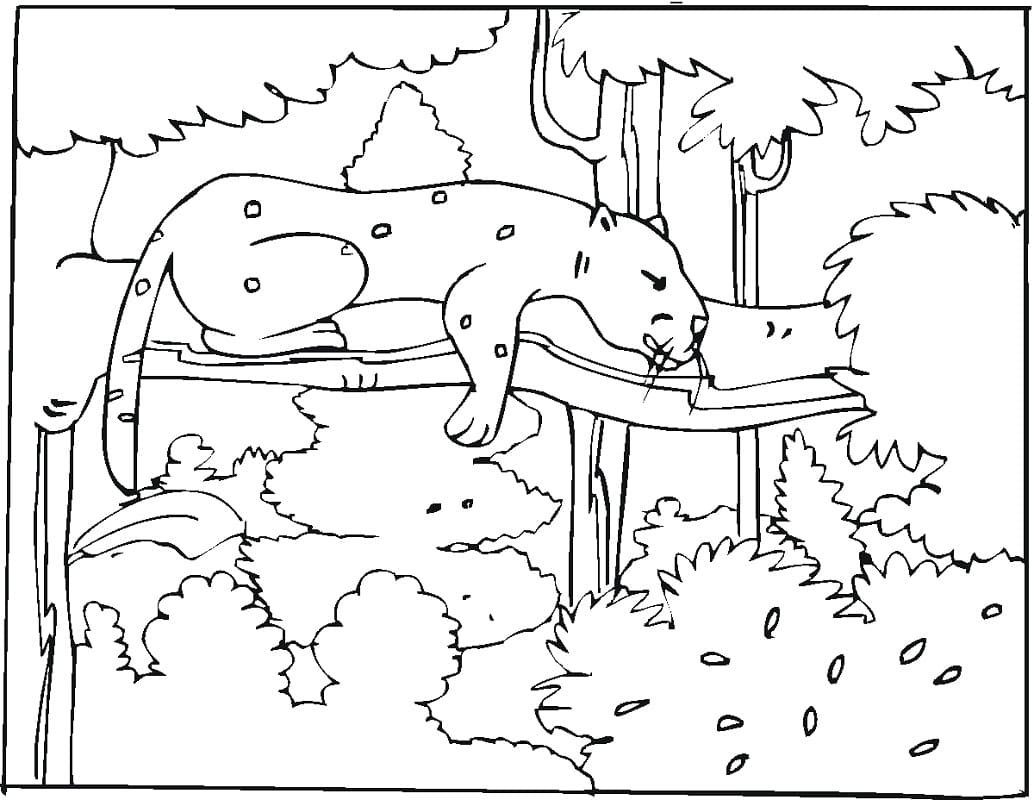 Coloriage guépard qui dort dans un arbre