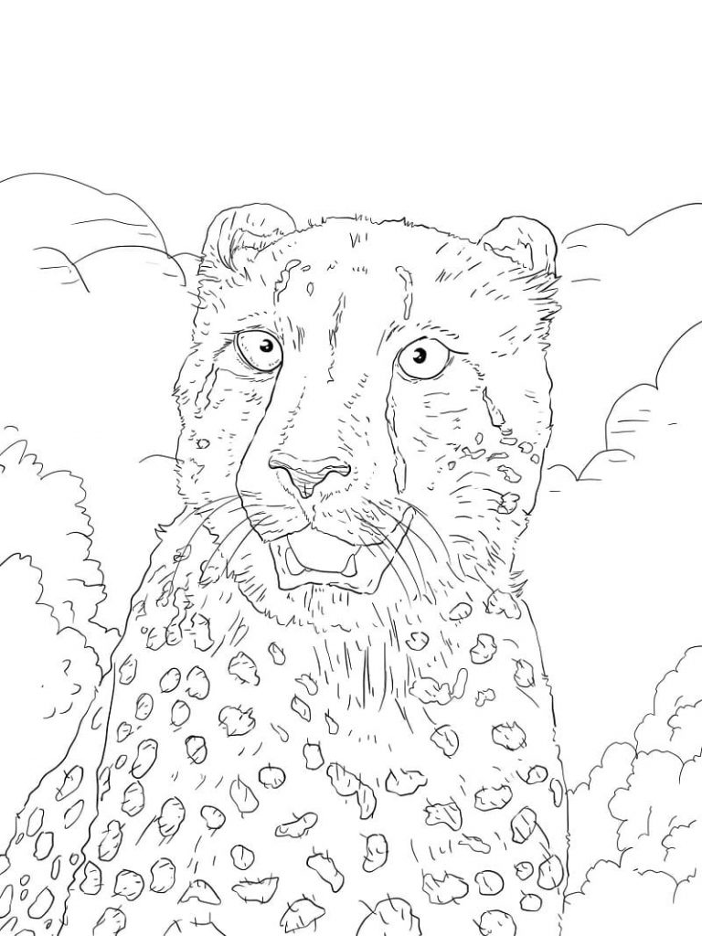 Coloriage portrait de guépard à imprimer